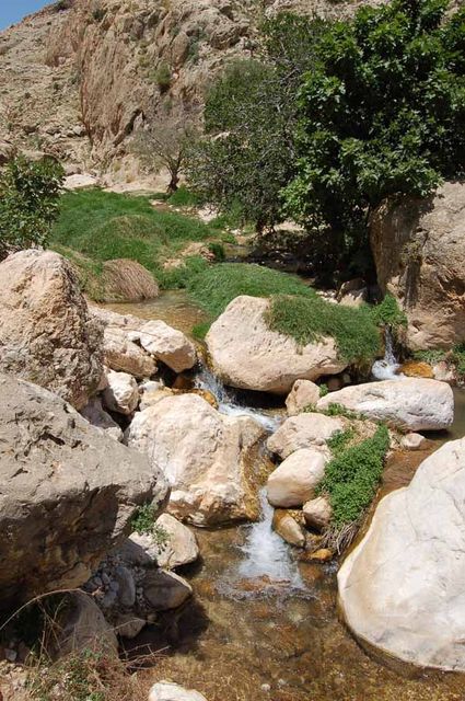 Ручей Прат в каньоне Эйн-Фара. Май 2006 г. Фото © паломнический центр "Россия в красках" в Иерусалиме