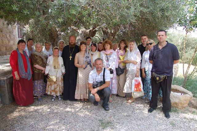 У древней оливы на Поле пастухов. © Православный паломнический центр «Россия в красках» в Иерусалиме