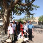 Делегация у дерева мытаря Закхея в Иерихоне на участке Императорского Православного Палестинского Общества