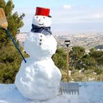 "Снежное чудо в Иерусалиме".  31 января 2008 года