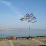 Вид на Галилейское море со стороны Горы Блаженств. © Фото Натальи Ковровой