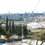 Вид на Храмовую гору с Елеонской горы. Фото © паломнический центр "Россия в красках" в Иерусалиме