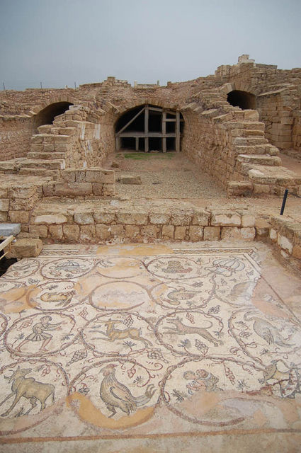 Элементы мозаик дворца римского прокуратора