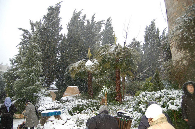 Снег на Сергиевском подворье. Фото 19 февраля 2008 г. © Иерусалимское отделение ИППО