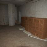 20 февраля 2009 г. Новое помещение для архива и библиотеки Сергиевского подворья
