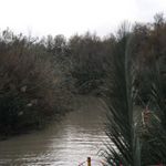 Крещенский сочельник 18 января 2011 года на месте Крещения на берегу реки Иордан
