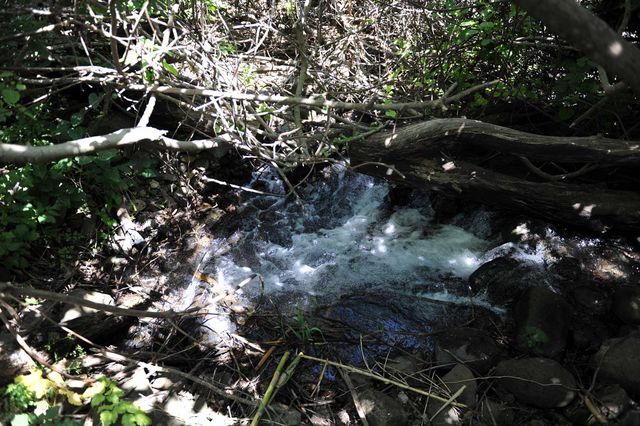 "Глотка" - большое отверстие в земле, куда убывает вода. Неподалеку в ручье обитают огненные саламандры