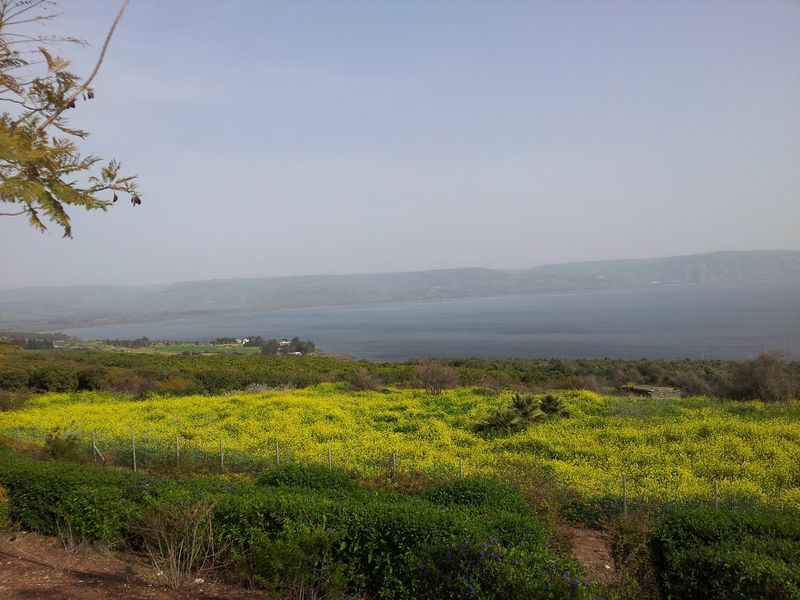 Вид на Галилейское море с горы Блаженств. Галилея
