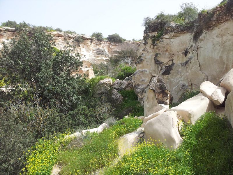 Белые пещеры в археологическом парке Тель Мореша