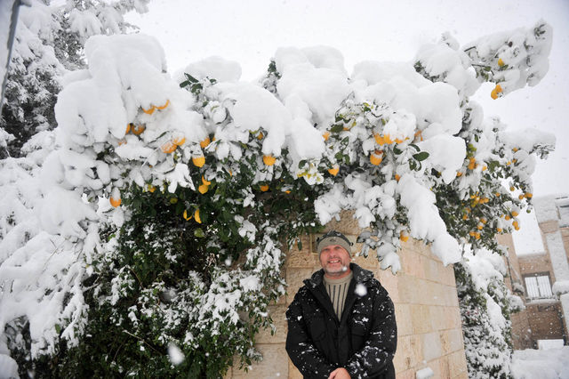 Апельсины в снегу ©  Православный паломнический центр «Россия в красках» в Иерусалиме