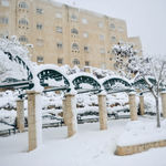 Красота снежной зимы в Иерусалиме