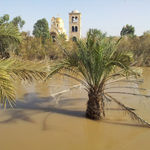 Крещенский разлив реки Иордан в подлинном месте Крещения Господня. 15 января 2013 г.