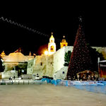 Новогодняя Рождественская ёлка на площади Рождества Христова в Вифлееме