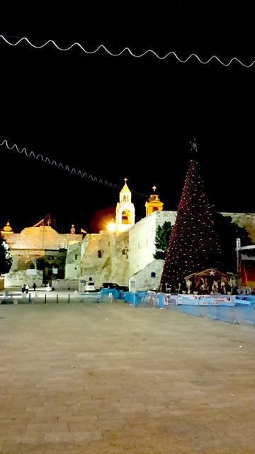 Новогодняя Рождественская ёлка на площади Рождества Христова в Вифлееме