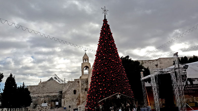 Рождественская ёлка на площади Рождества в Вифлееме
