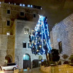Рождественская ёлка в католическом монастыре Нотр Дам Джерусалиме в Иерусалиме
