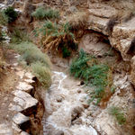 Поток Хорав в ущелье Вади Кельт наполнился водой благодаря сильнейшим дождям