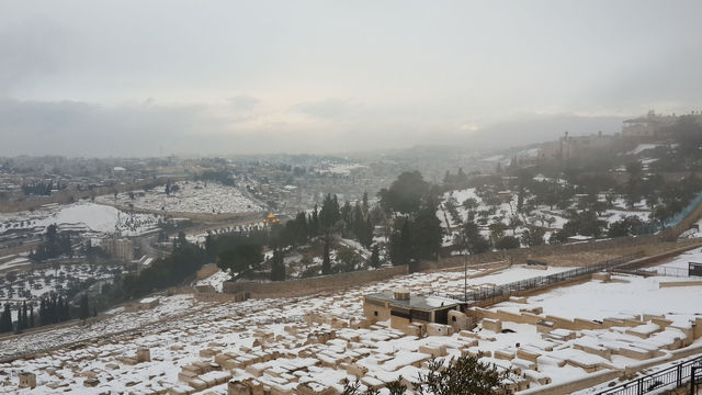 Вид на заснеженный Иерусалим с вершины Елеонской горы. 14 декабря 2013 года. Суббота
