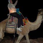 Верблюд-верный помощник паломника. © Православный паломнический центр "Россия в красках" в Иерусалиме