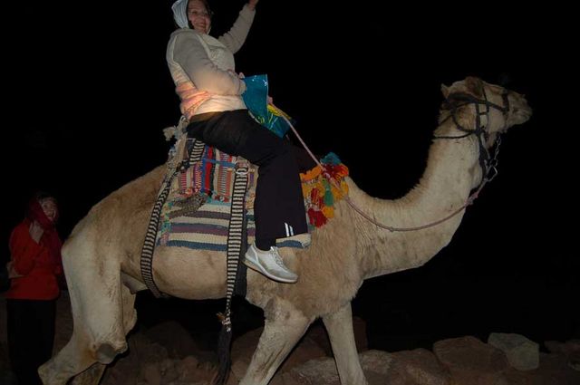 Верблюд-верный помощник паломника. © Православный паломнический центр "Россия в красках" в Иерусалиме