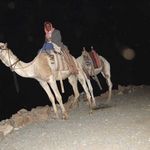 "Верблюда, камила, харощий верблюда"... зазывают в ночи бедуины. © Паломнический центр "Россия в красках"