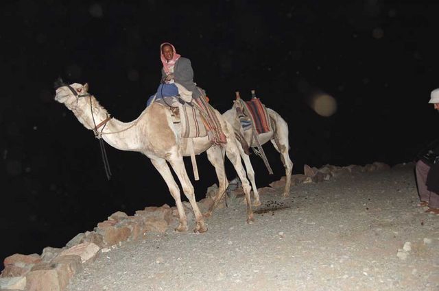 "Верблюда, камила, харощий верблюда"... зазывают в ночи бедуины. © Паломнический центр "Россия в красках"