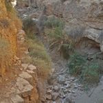 Поток Хорафа в ущелье Вади Кельт