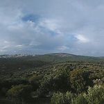 Панорама окрестностей горы Фавор
