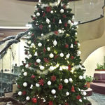 Рождественская ёлка в отеле в Вифлееме