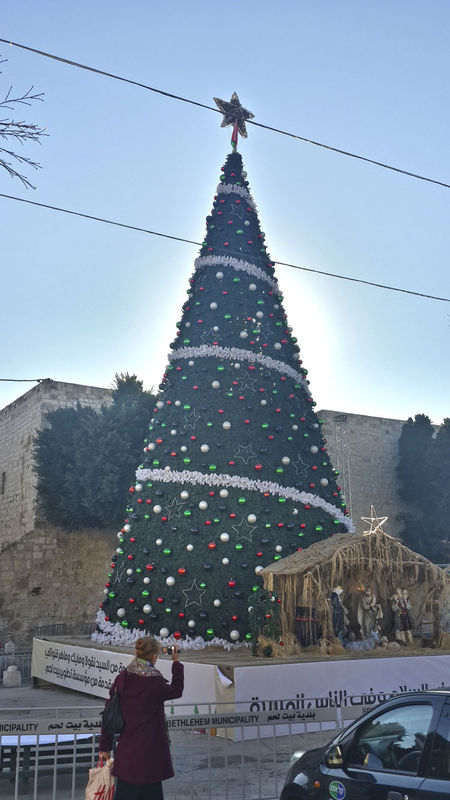 Рождественская ёлка на площади Рождества в Вифлееме