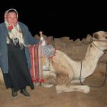Верблюд-верный спутник паломниц. © Православный паломнический центр "Россия в красках" в Иерусалиме