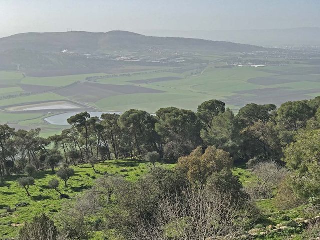 Вид на Изреэльскую долину с обзорной площадки католического монастыря на вершине горы Фавор. 4 января 2019