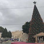 Рождественская ёлка в Вифлееме на площади Рождества. 29 декабря 2018