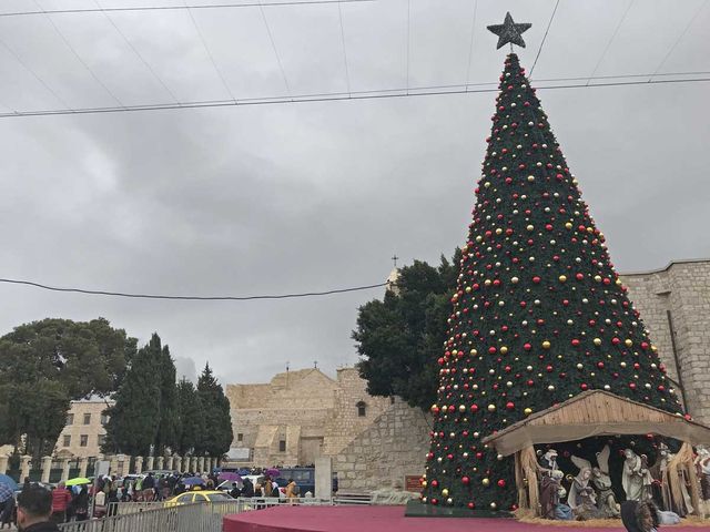 Рождественская ёлка в Вифлееме на площади Рождества. 29 декабря 2018