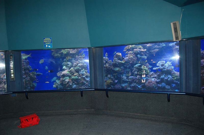 Гигантский кольцевидный рифовый аквариум. © Православный паломнический центр "Россия в красках" в Иерусалиме