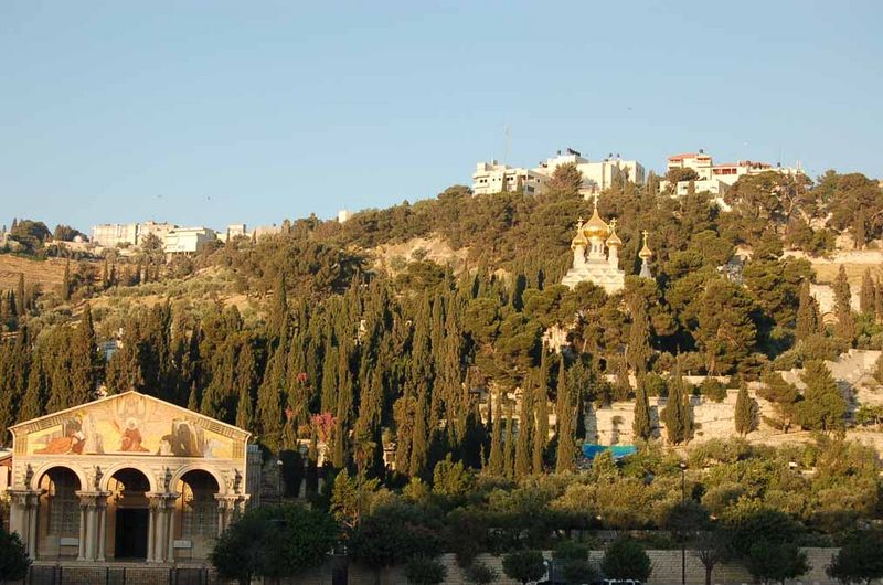 Вид на Гефсиманию. © Иерусалимское отделение ИППО