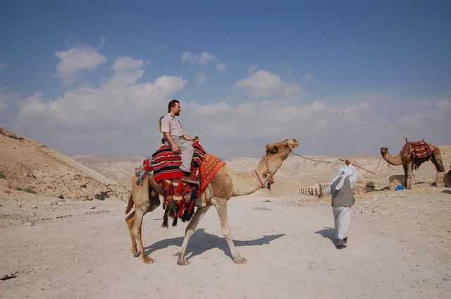Верблюд - караван пустыни. © Православный паломнический центр «Россия в красках» в Иерусалиме