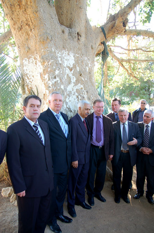 Председатель ИППО С.В.Степашин с делегацией у смоковницы Закхея. © Иерусалимское отделение ИППО