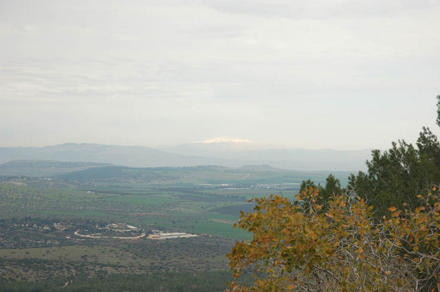 Вид с горы Фавор. © Православный паломнический центр «Россия в красках» в Иерусалиме