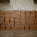 Коробки с принятым в опись архивом ИППО на Сергиевском подворье.  © Иерусалимское отделение ИППО